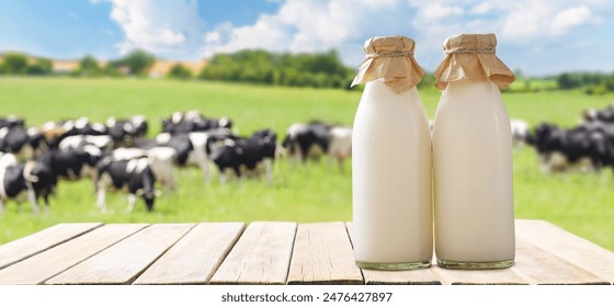 国产老熟女胖 国产老熟女胖