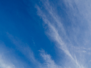 日本有码 中文字幕 第二页