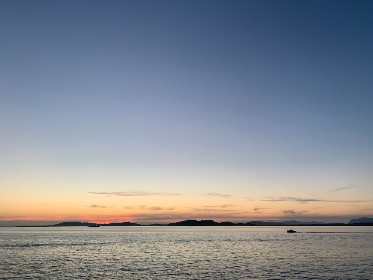飘花伦理在手机观线 飘花伦理在手机观线