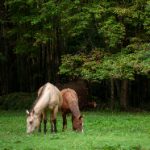 亚洲欧美国产综合久久网 snllsnrj