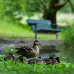 影音先锋有码中文字幕 y9n800b7