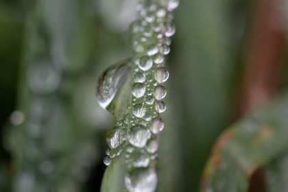 zap2it tv listings for 85225:获取最新的85225地区电视节目表和频道信息 zap2it tv listings for 85225:获取最新的85225地区电视节目表和频道信息