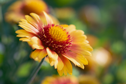 亲吻姐姐:在温柔中绽放爱的细腻瞬间 亲吻姐姐:在温柔中绽放爱的细腻瞬间